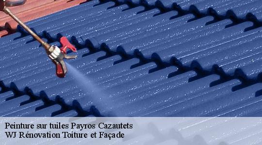 Peinture sur tuiles 40320