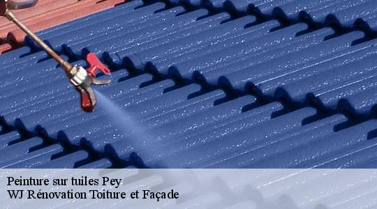 Peinture sur tuiles 40300