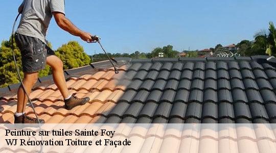 Peinture sur tuiles  sainte-foy-40190 WJ Rénovation Toiture et Façade