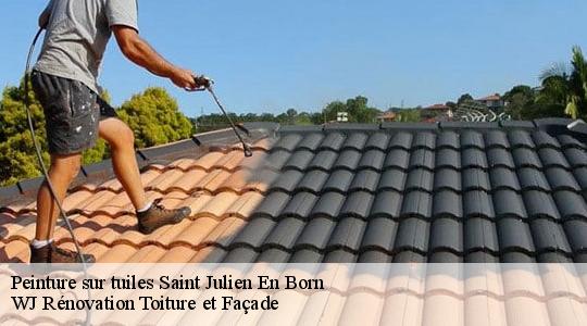 Peinture sur tuiles saint-julien-en-born-40170 WJ Rénovation Toiture et Façade