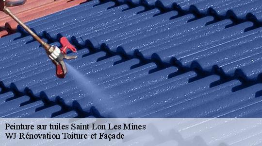 Peinture sur tuiles 40300