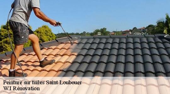 Peinture sur tuiles  saint-loubouer-40320 W.I Rénovation