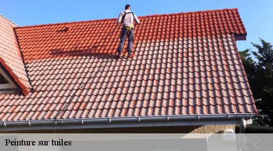 Peinture sur tuiles  40320