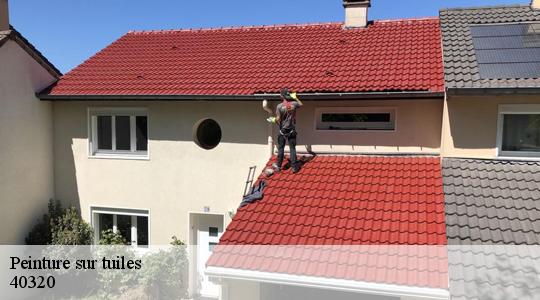 Peinture sur tuiles  40320
