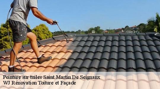 Peinture sur tuiles saint-martin-de-seignanx-40390 WJ Rénovation Toiture et Façade