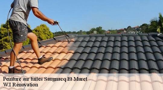 Peinture sur tuiles  saugnacq-et-muret-40410 W.I Rénovation