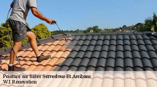 Peinture sur tuiles  serreslous-et-arribans-40700 W.I Rénovation