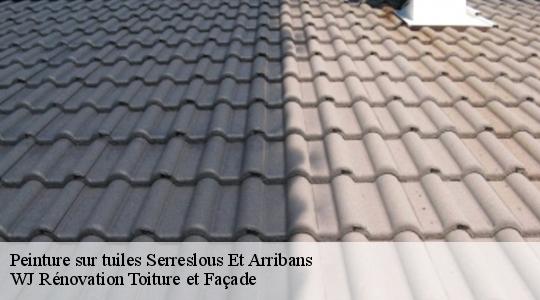 Peinture sur tuiles 40700