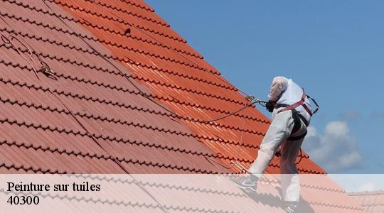 Peinture sur tuiles  40300