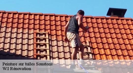 Peinture sur tuiles  40140