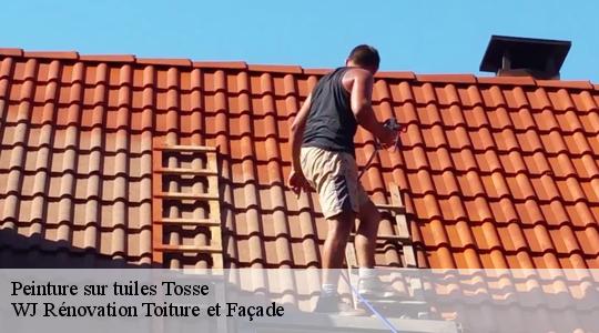 Peinture sur tuiles  40230
