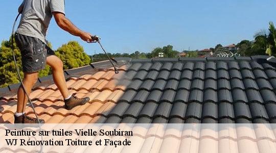 Peinture sur tuiles vielle-soubiran-40240 WJ Rénovation Toiture et Façade
