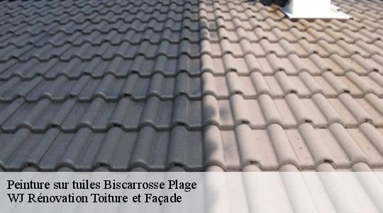 Peinture sur tuiles  40600