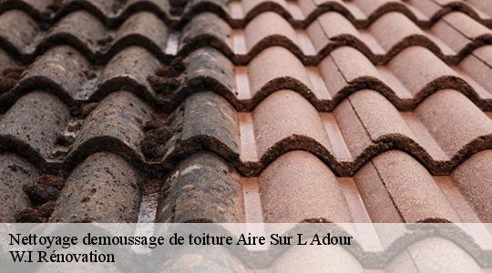 Nettoyage demoussage de toiture  aire-sur-l-adour-40800 W.I Rénovation