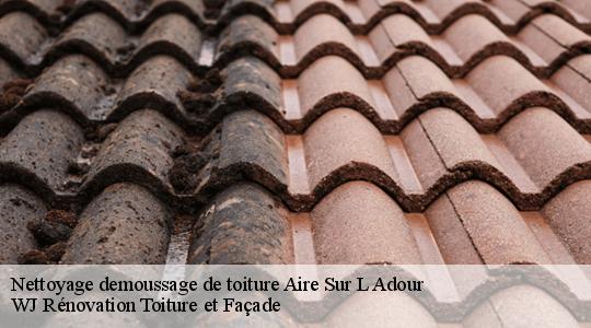 Nettoyage demoussage de toiture aire-sur-l-adour-40800 WJ Rénovation Toiture et Façade