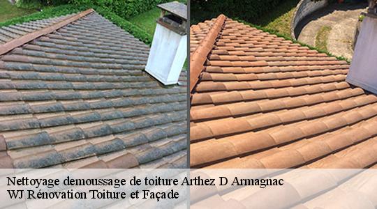 Nettoyage demoussage de toiture  40190