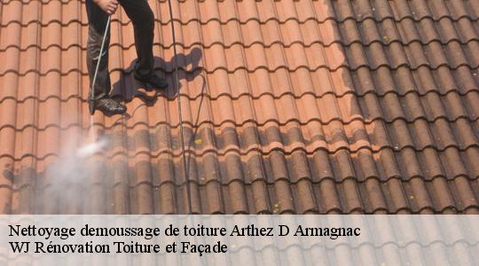 Nettoyage demoussage de toiture  40190