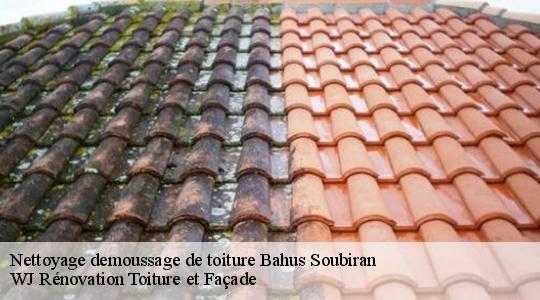Nettoyage demoussage de toiture 40320