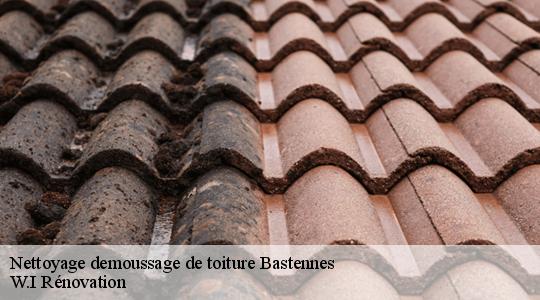 Nettoyage demoussage de toiture  bastennes-40360 W.I Rénovation