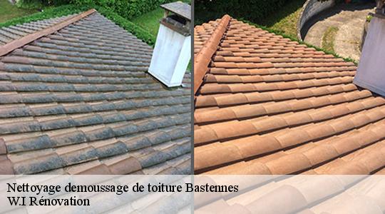 Nettoyage demoussage de toiture  40360