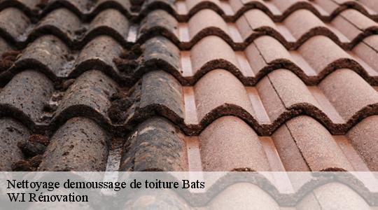 Nettoyage demoussage de toiture  bats-40320 W.I Rénovation