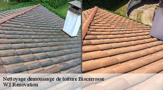 Nettoyage demoussage de toiture  40600