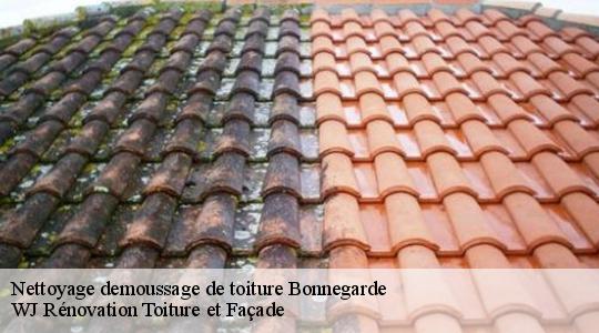 Nettoyage demoussage de toiture 40330