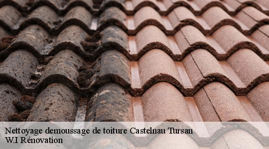 Nettoyage demoussage de toiture  castelnau-tursan-40320 W.I Rénovation