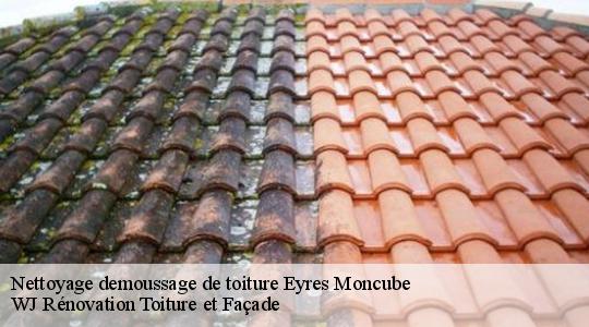 Nettoyage demoussage de toiture 40500