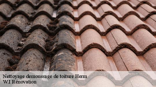 Nettoyage demoussage de toiture  herm-40990 W.I Rénovation