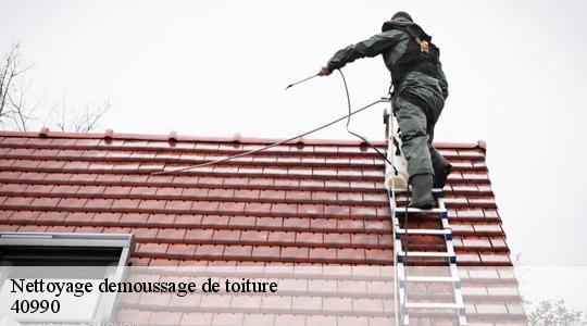 Nettoyage demoussage de toiture  40990