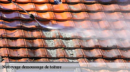Nettoyage demoussage de toiture  40990