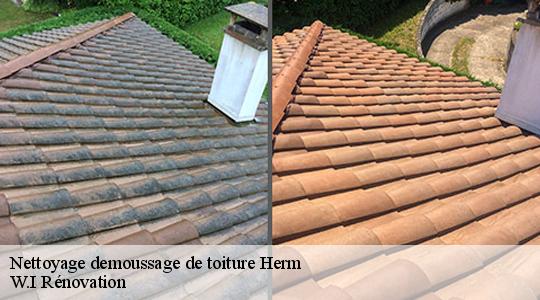 Nettoyage demoussage de toiture  40990