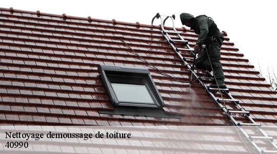Nettoyage demoussage de toiture  40990
