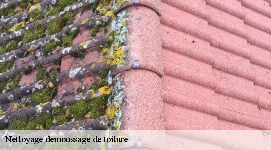 Nettoyage demoussage de toiture  40990