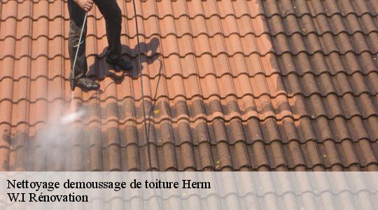 Nettoyage demoussage de toiture  40990