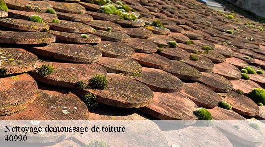 Nettoyage demoussage de toiture  40990
