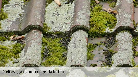 Nettoyage demoussage de toiture  40990