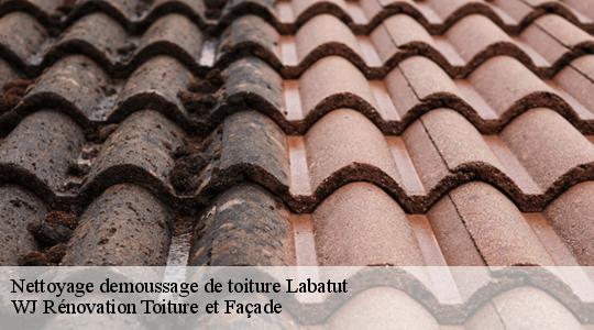 Nettoyage demoussage de toiture  labatut-40300 WJ Rénovation Toiture et Façade