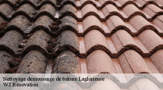 Nettoyage demoussage de toiture  laglorieuse-40090 W.I Rénovation