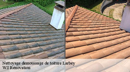 Nettoyage demoussage de toiture  40250