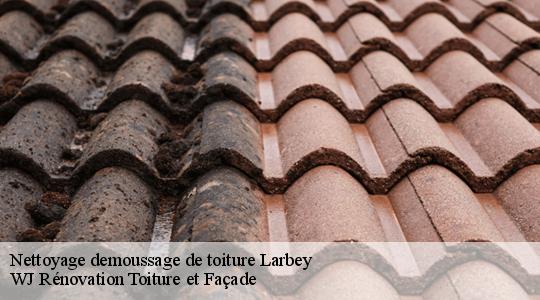 Nettoyage demoussage de toiture  larbey-40250 WJ Rénovation Toiture et Façade