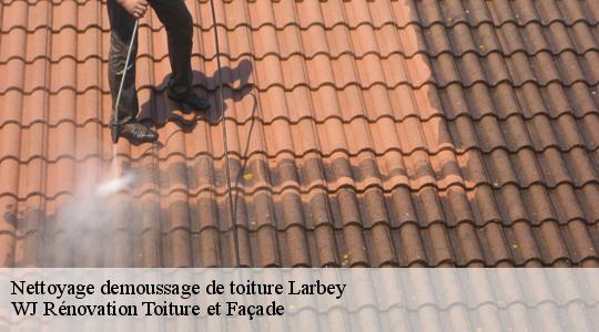 Nettoyage demoussage de toiture  40250