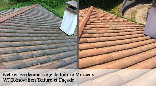 Nettoyage demoussage de toiture  40110