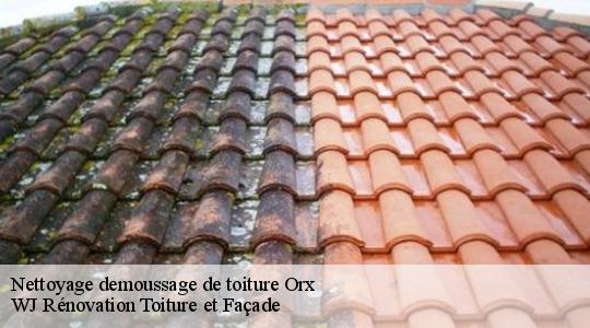 Nettoyage demoussage de toiture 40230