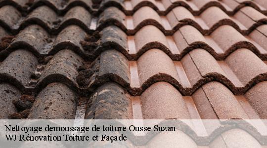Nettoyage demoussage de toiture  ousse-suzan-40110 WJ Rénovation Toiture et Façade