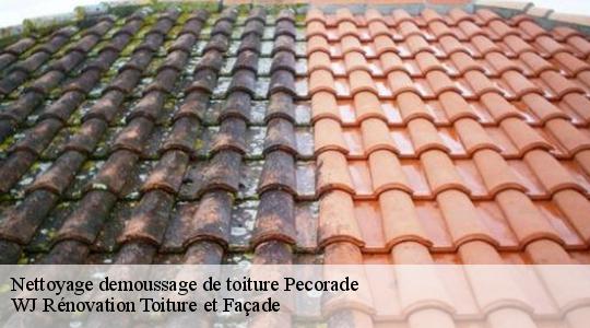 Nettoyage demoussage de toiture  40320