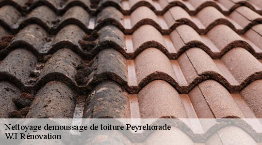 Nettoyage demoussage de toiture  peyrehorade-40300 W.I Rénovation