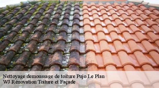 Nettoyage demoussage de toiture 40190