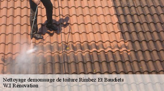 Nettoyage demoussage de toiture  40310